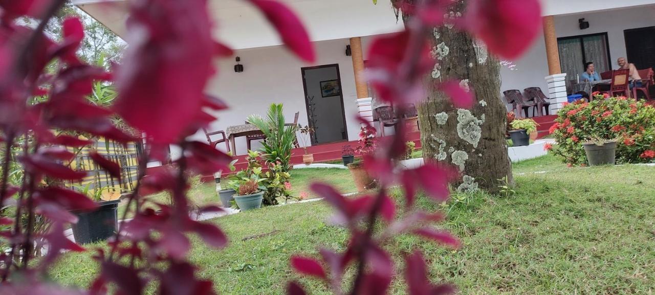 Marari Phoenix Beach Homestay Марарикулам Экстерьер фото